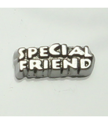 Charm 'Special friend'